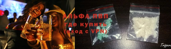 дмт Алзамай