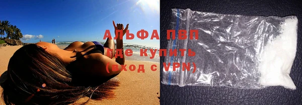 амф Гусев